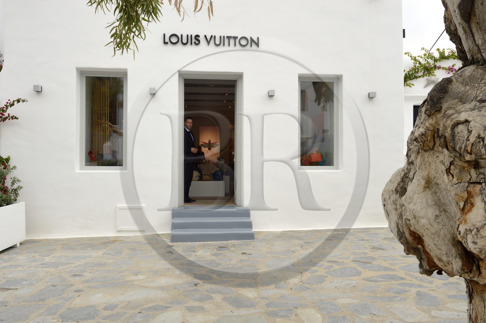 Grèce, Les Cyclades, mer Égée, île de Mykonos, Chora (Mykonos town)