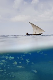 Tanzania, Zanzibar Archipelago, Unguja island (Zanzibar), west coast, nature reserve of Chumbe Island Coral Park, a dhow (traditional Arab sailing vessel)