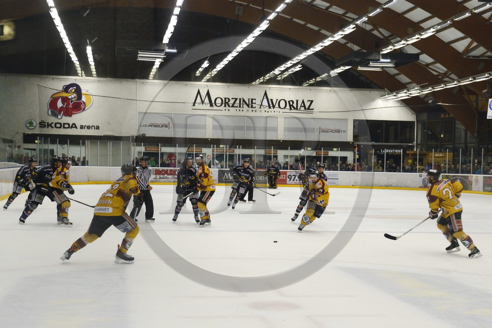 France, Haute Savoie, Morzine, ice hockey game from the Morzine-Avoriaz Hockey Club called the Penguins