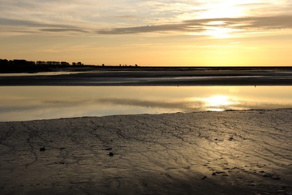 France, Manche, Bay of Mont Saint Michel, intertidal zone of Couesnon River at sunset