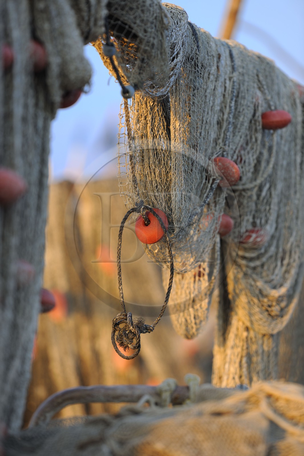 France, Hérault (34), Sète, quartier de la Pointe Courte, village de pêcheurs donnant sur l'étang de Thau, filets de pêche
