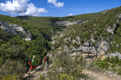 France, Vaucluse, Mont Ventoux Regional Natural Park, Monieux, Gorges de La Nesque, hikers progressing on a path on the heights facing the rocky bars