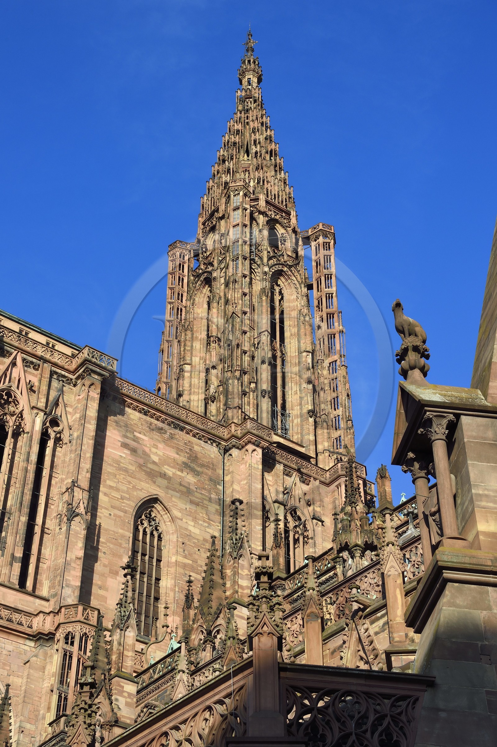France, Bas Rhin, Strasbourg, old town listed as World Heritage by UNESCO, Notre Dame Cathedral, southern facade, dog (a pointer) perched on a kiosk sheltering a sundial (13th century)