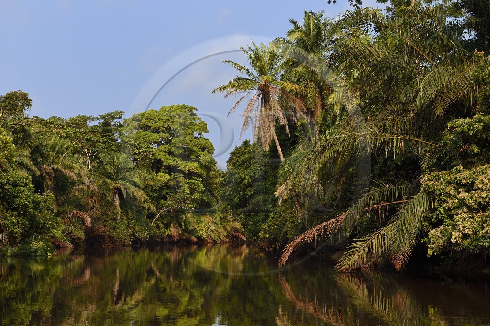 Gabon, province de Ogooué- Maritime, une des nombreuses rivières de la lagune du Fernan Vaz (Nkomi)