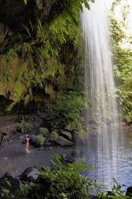 Caraïbes, Ile de la Dominique, Castle Bruce, Parc national du Morne Trois Pitons classé Patrimoine Mondial de l'UNESCO, dans le sous-bois tropical, le bassin d'émeraude (Emerald Pool) et sa cascade