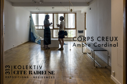 France, Bouches-du-Rhône (13), Marseille, oeuvre architecturale de Le Corbusier, classée Patrimoine Mondial de l'UNESCO, la Cité Radieuse par l'architecte Le Corbusier, exposition d'Ambre Cardinal à la Galerie Kolektiv 313 dans le déambulatoire entre le 3e et le 4e étage