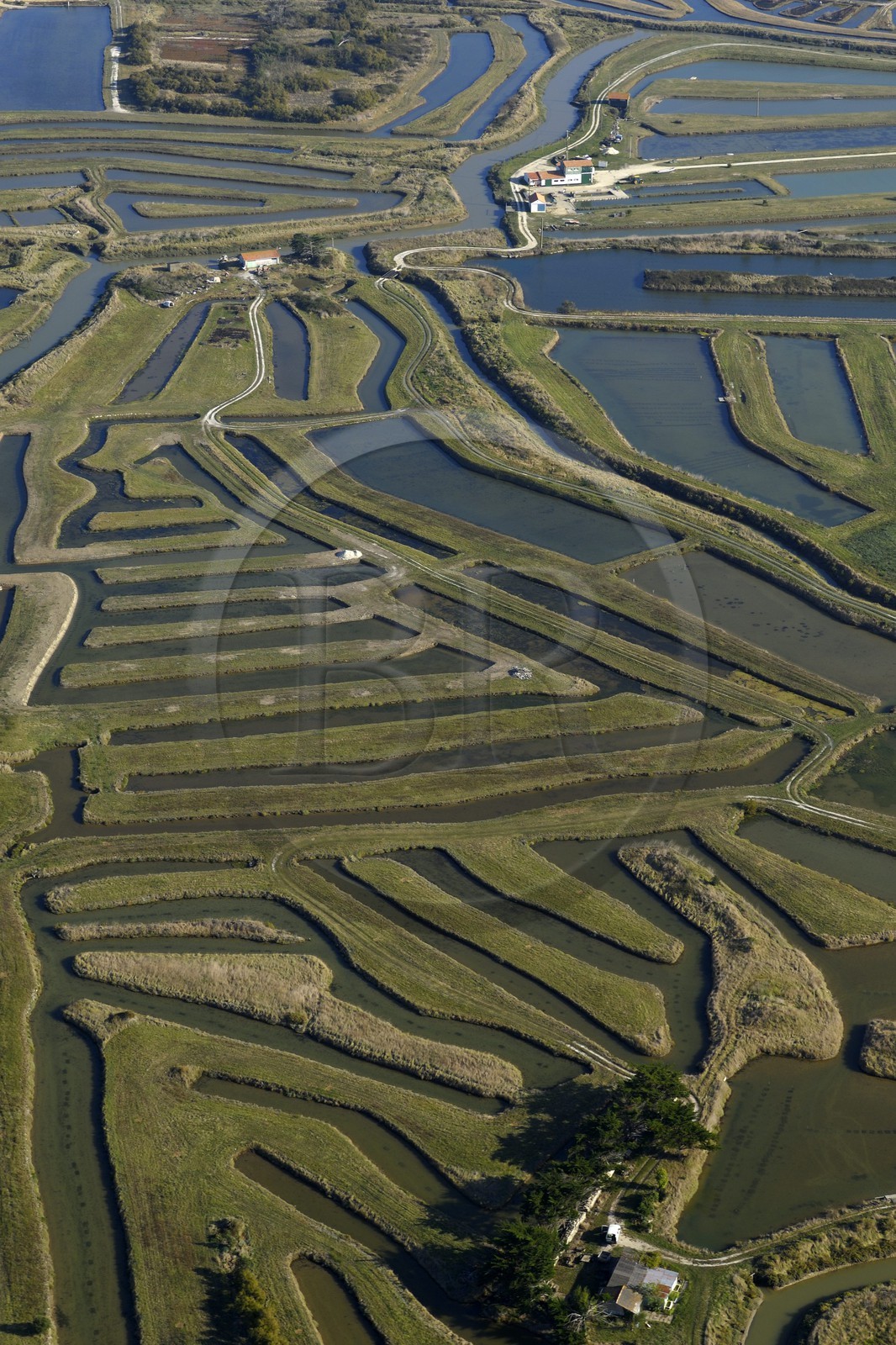 France, Charente-Maritime (17), Ile d'Oléron, Claires sur la côte est au nord de Château-d'Oléron (vue aérienne)