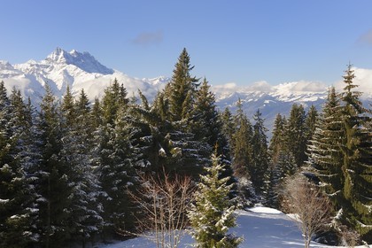 Suisse, Canton de Vaud, Villars sur Ollon