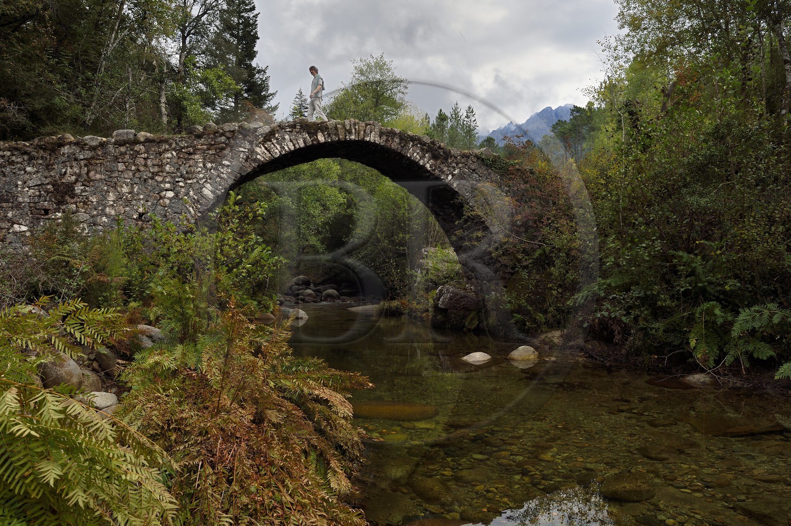 France, Corse-du-Sud (2A), Vallée du Prunelli, Bastelica, pont génois de Zippitoli