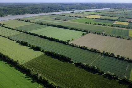 France, Seine-Maritime (76), Saint-Maurice-d'Etelan, champs en bordure de la Seine et le Parc Regional de Brotonne en arrière plan (vue aérienne)