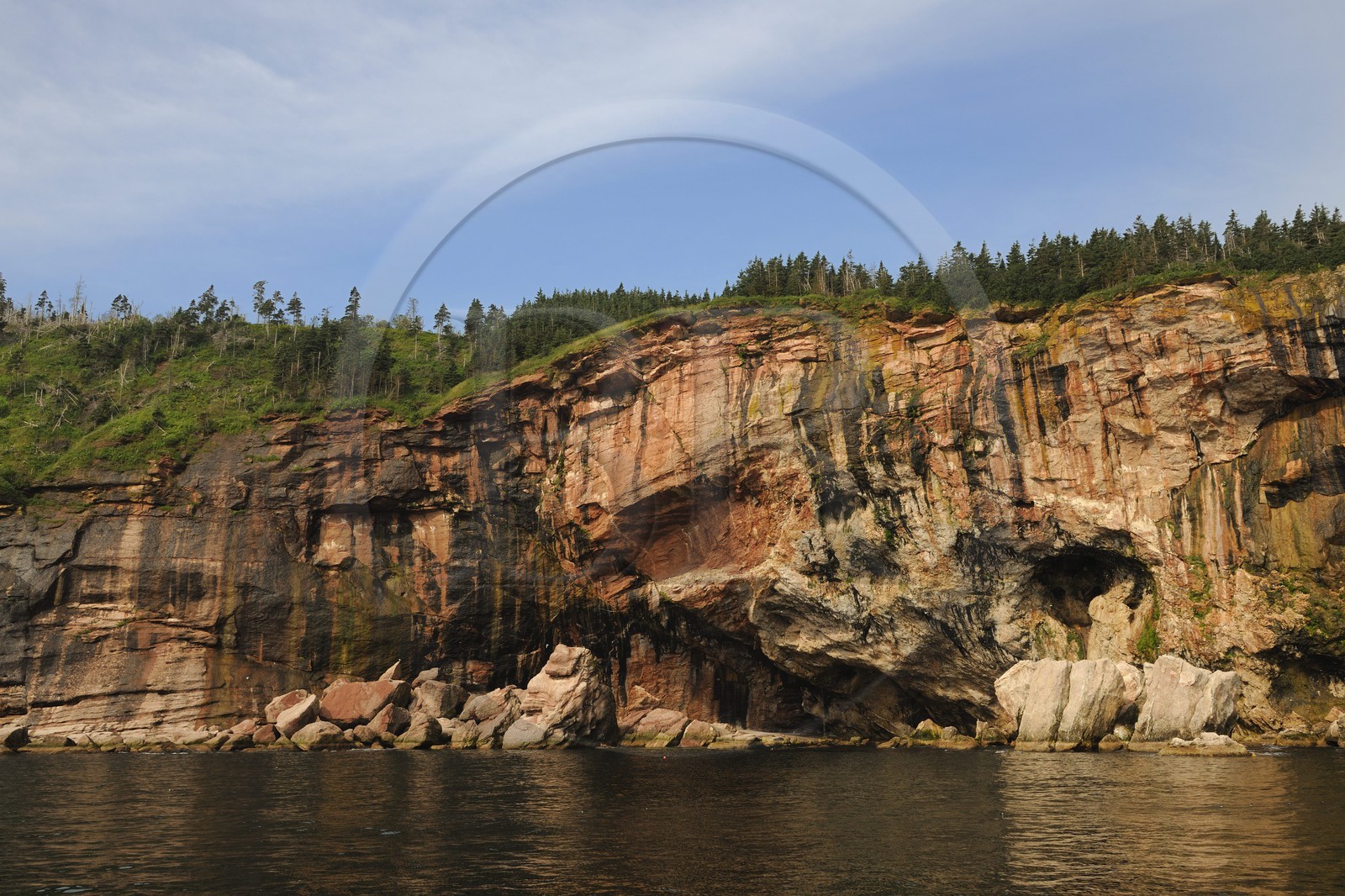 Canada, province de Québec, Gaspésie, île Bonaventure