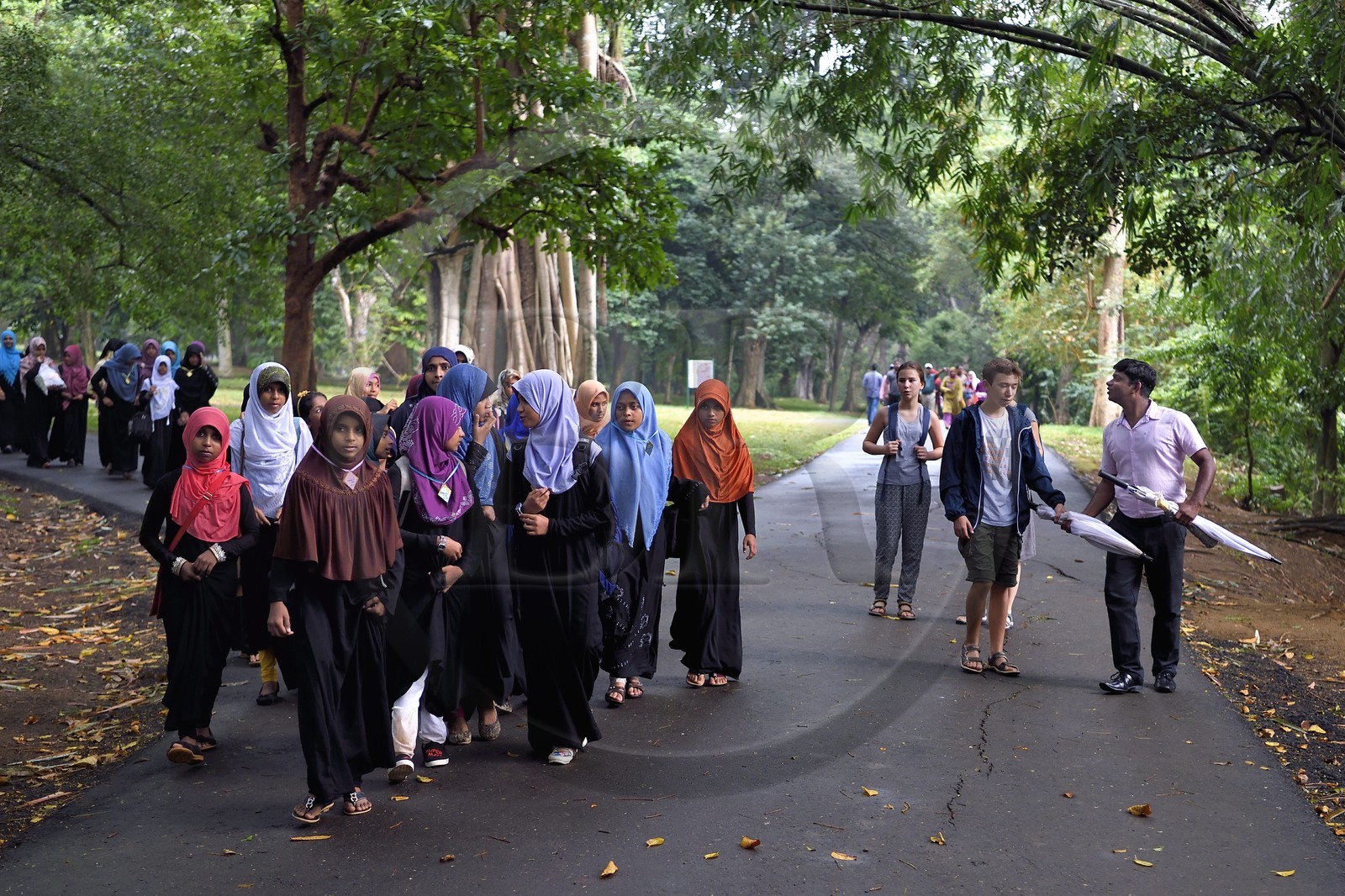 Sri Lanka, center province, Kandy, Peradeniya Botanical Garden, muslim girls school trip and tourists