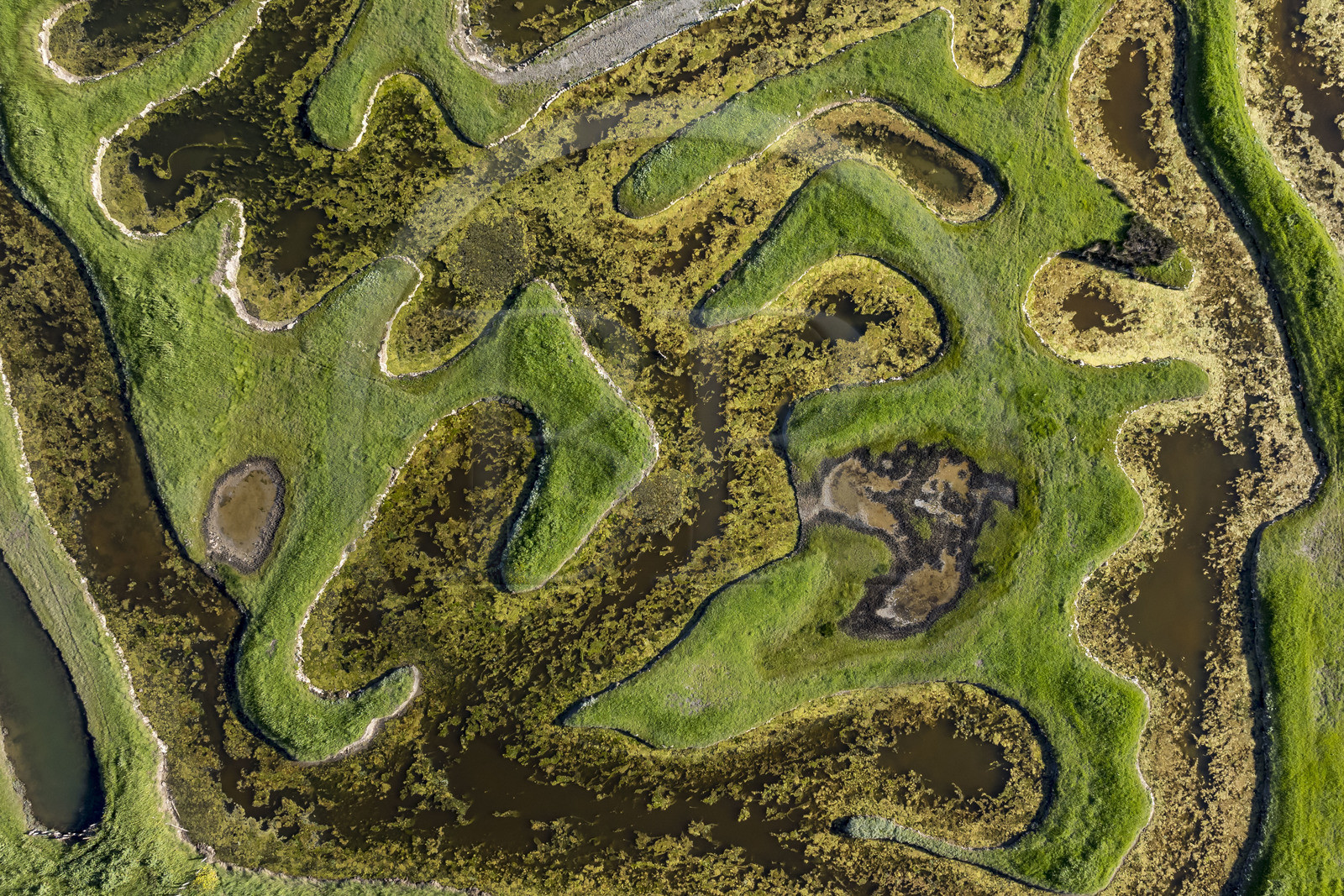 France, Vendée (85), Talmont-Saint-Hilaire, marais de la Guittière dans l'arrière pays de la Pointe du Payré, passage du Cul d’Ane, marais aménagés pour la pisciculture de dorades, mulets et anguilles (vue aérienne)