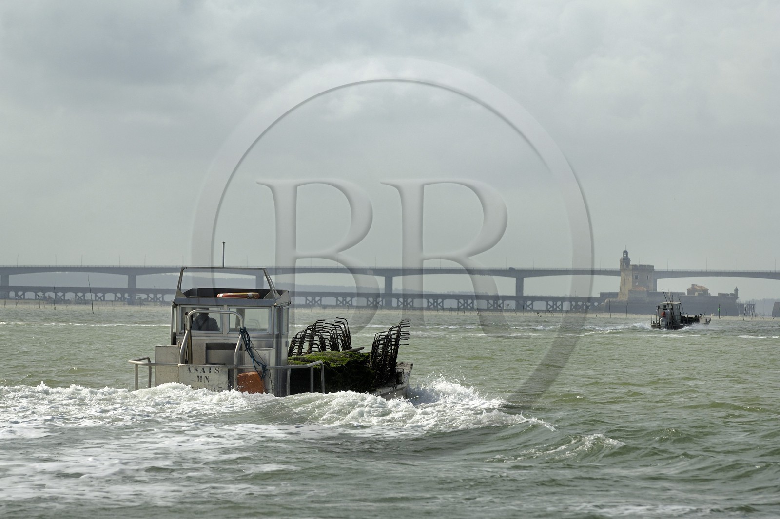 France, Charente-Maritime (17), le bassin Marrennes-Oléron au large du pont viaduc d'Oléron et du Fort Louvois (Fort du Chapus), chaland à huîtres