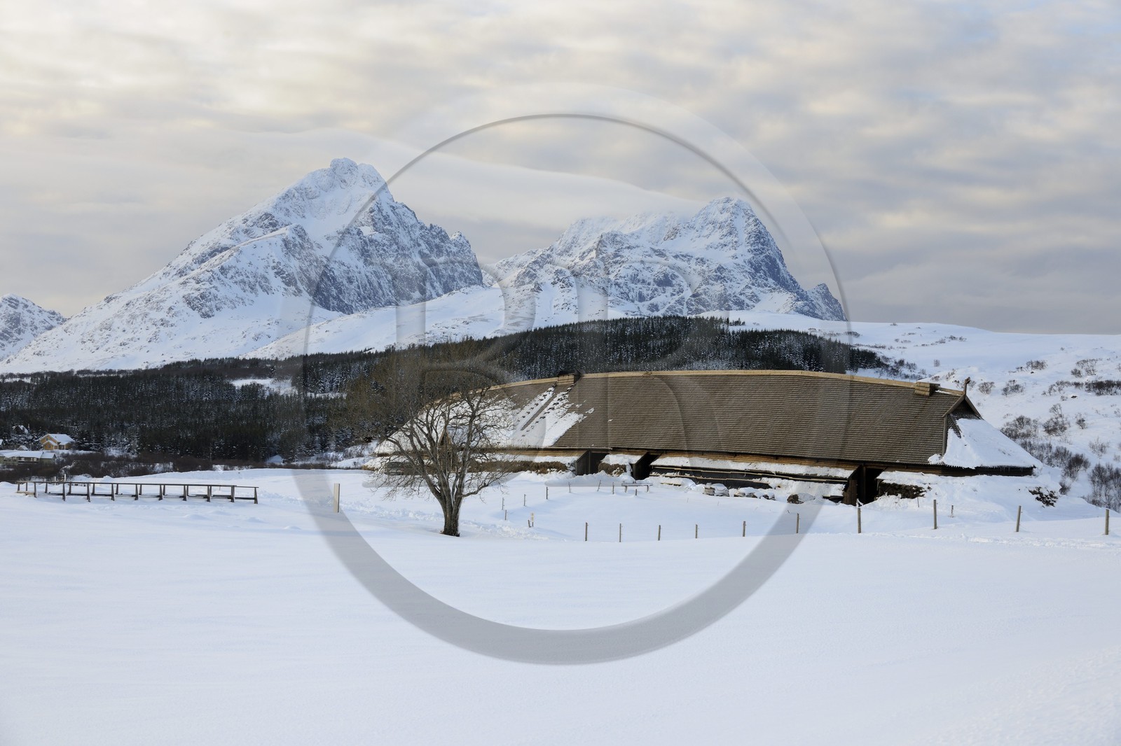 Norway, Nordland County, Lofoten Islands, Vestvagoy Island, Borg Viking Museum in Winter, rebuilding of an old house 83 m long