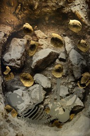 Israel, Jérusalem, quartier de Guivat Ram, musée d'Israel, departement d'archéologie, Le chaman du clan de la tortue, l'enterrement d'une femme avec des carapaces de tortues en Galilée il ya 12000 ans environ