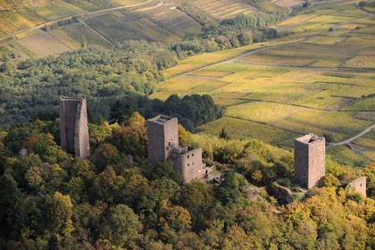 France, Haut Rhin, the three donjons of Eguisheim in the massif des Vosges (aerial view)