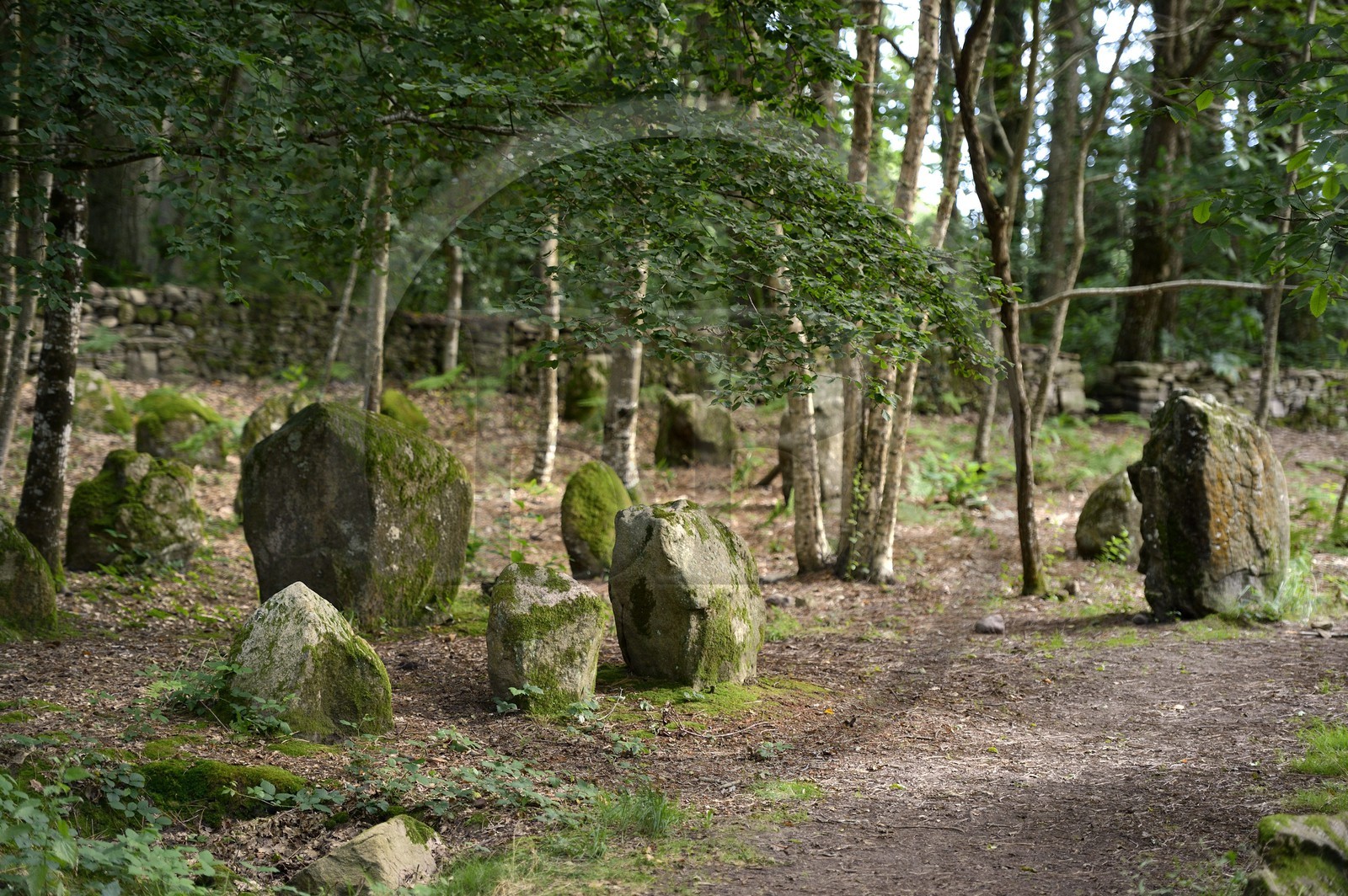 France, Morbihan (56), Carnac, alignement mégalithique du Petit Menec