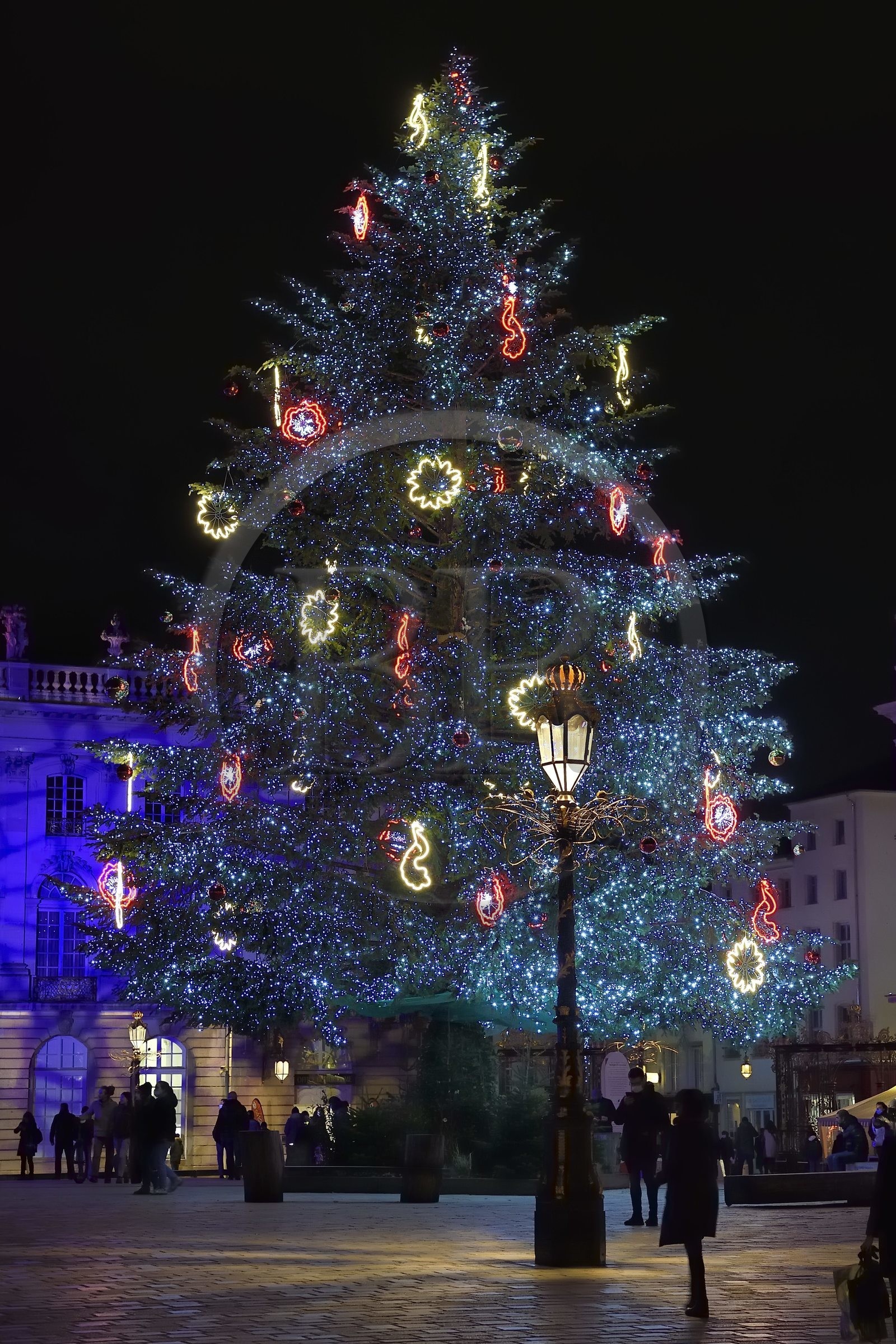 France, Meurthe-et-Moselle, Nancy, place Stanislas (former Place Royale) during the feast of Saint-Nicolas, listed as World Heritage by UNESCO, the large decorated Christmas tree and the Town Hall in the background