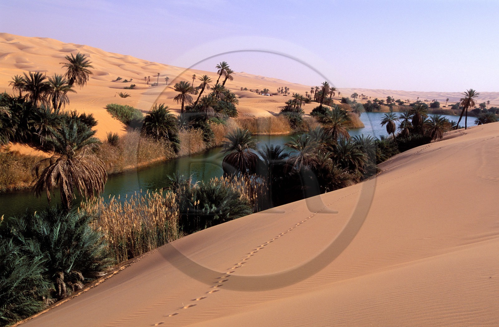 Libye, région du désert, Le Fezzan (Sahara), Erg Ubari, Lac d'Oum El Ma