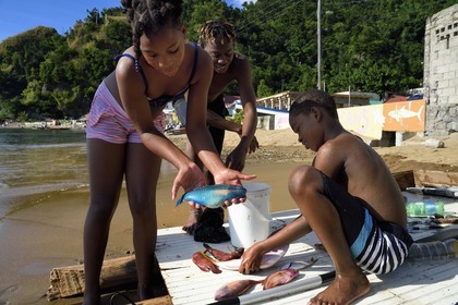 Caribbean, Dominica Island, Soufriere Bay, group of children returning from fishing on Soufrière beach, girl holding a parrotfish (Scaridae)