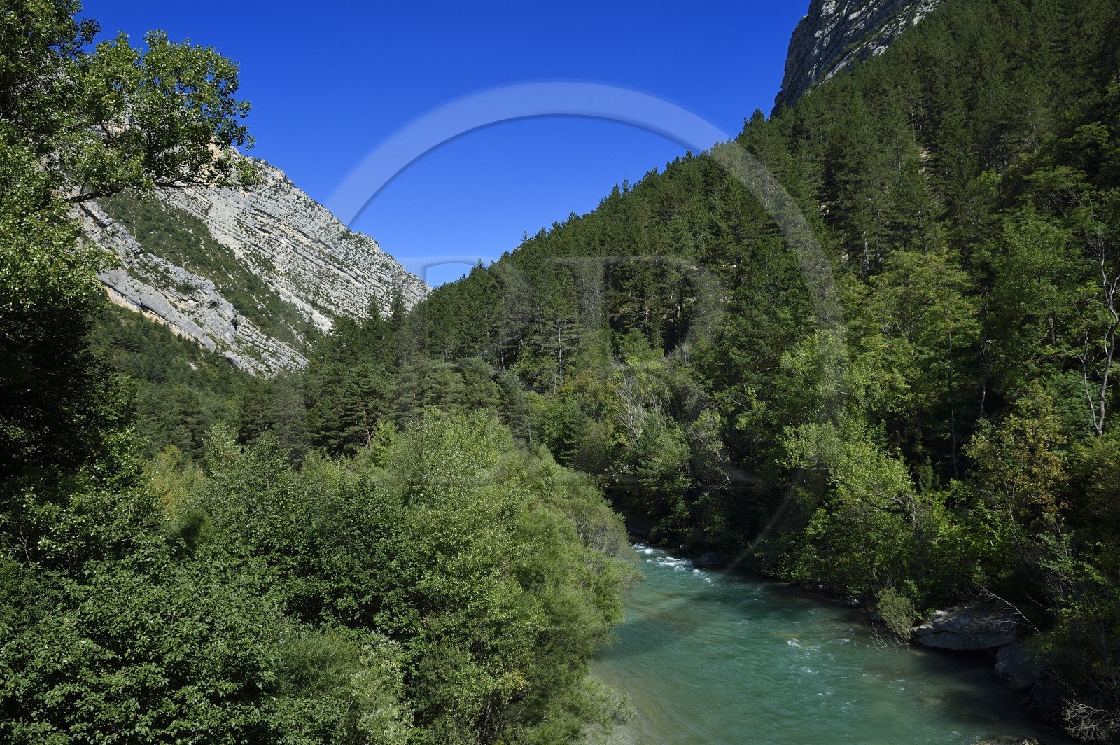 France, Alpes-de-Haute-Provence (04), Parc Naturel Régional du Verdon, les Gorges du Verdon, les Prégorges à Pont de Soleil
