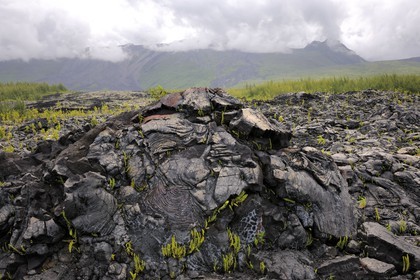 France, île de la Réunion, volcan du Piton de la Fournaise, classé Patrimoine Mondial de l'UNESCO, le Grand-Brûlé, coulée de lave de 2007