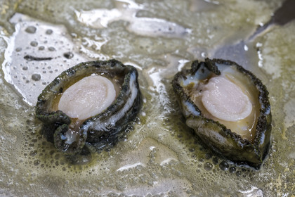 France, Finistère (29), Pays des Abers, estuaire de l'Aber Wrac'h, Plouguerneau, France Haliotis, ormeau (haliotis tuberculata) cuisiné au beurre dans une poêle