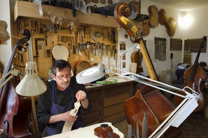France, Dordogne (24), Périgord Blanc, Périgueux, le luthier Damien Florio dans son atelier de la rue Aubergerie
