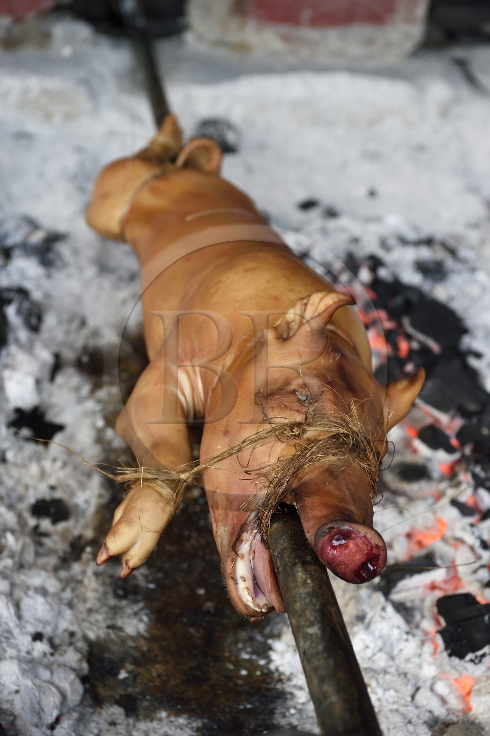 Philippines, Ile de Luzon, Manille, quartier La Loma, cochon de lait roti à la broche (lechon)