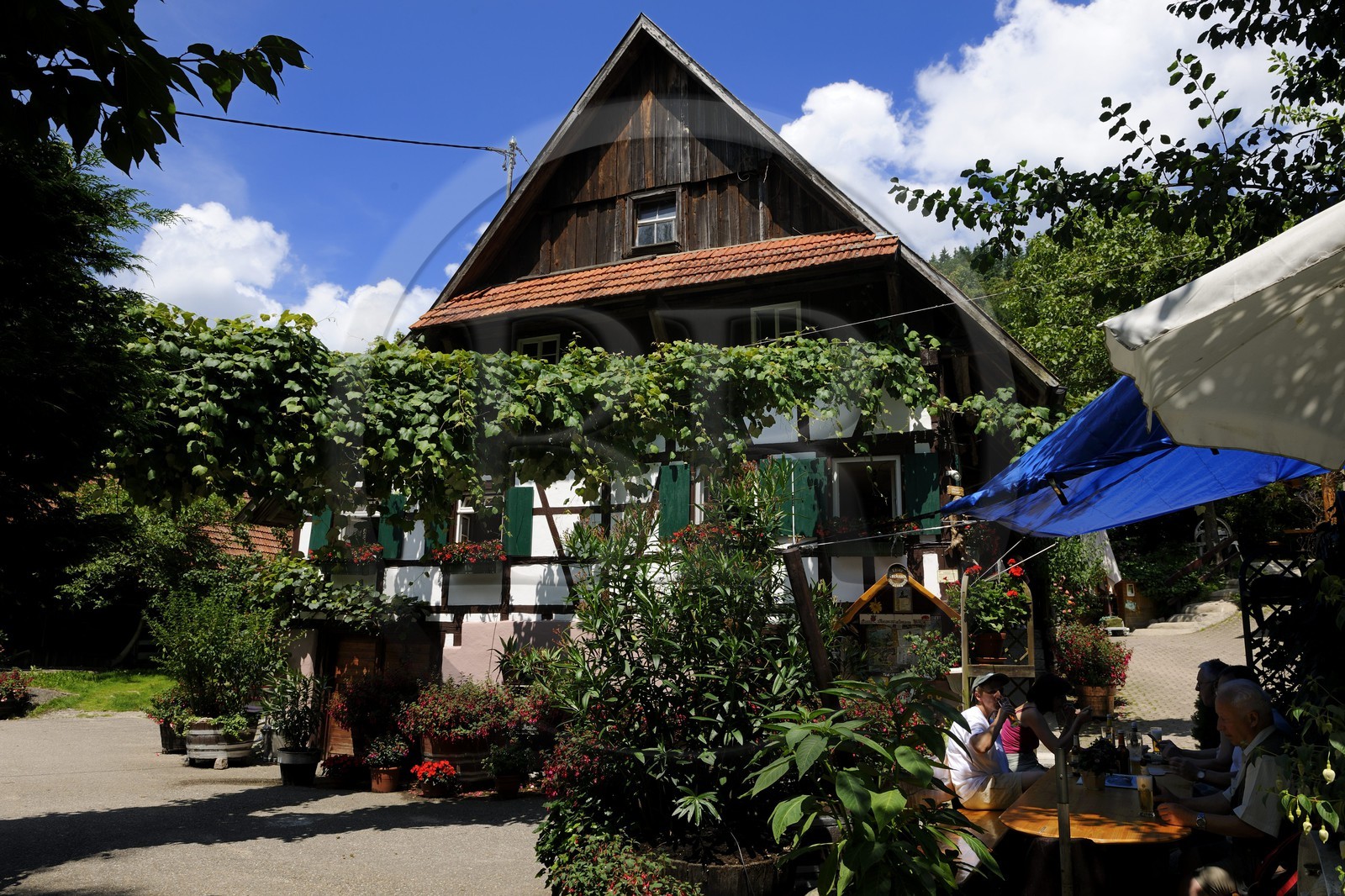 Allemagne, Forêt Noire, Schwartzwald, Bade-Würtemberg, région d'Ottenhöffen, auberge de la Benz-Mühle