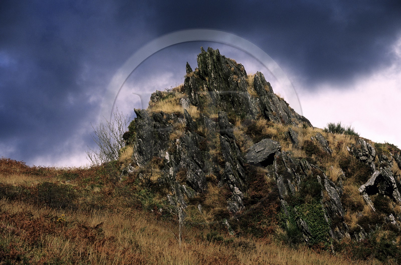 France, Finistère (29), monts d'Arrée, Roc Trévezel