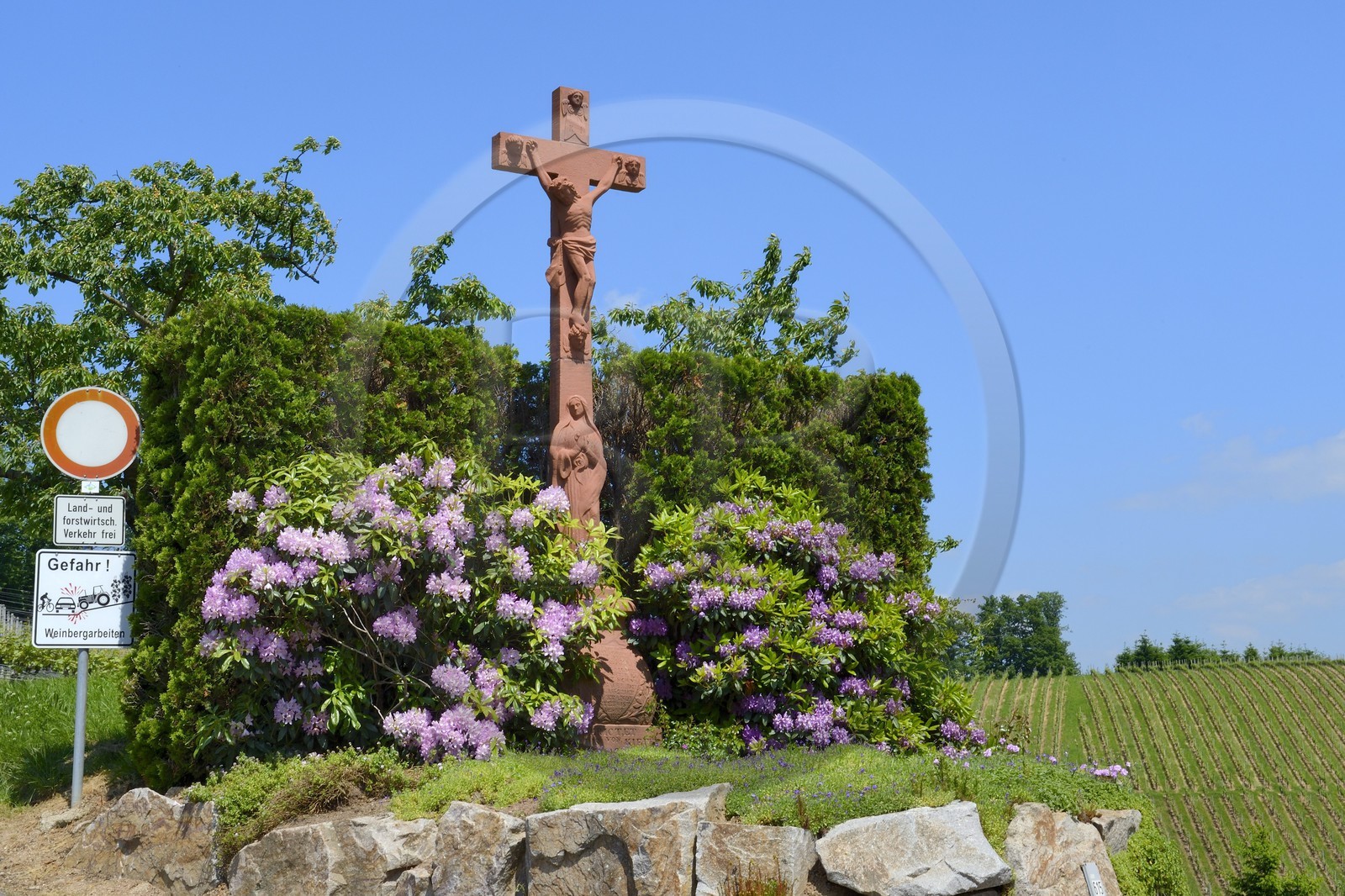 Germany, Baden-Wurttemberg, Durbach vineyard, calvary
