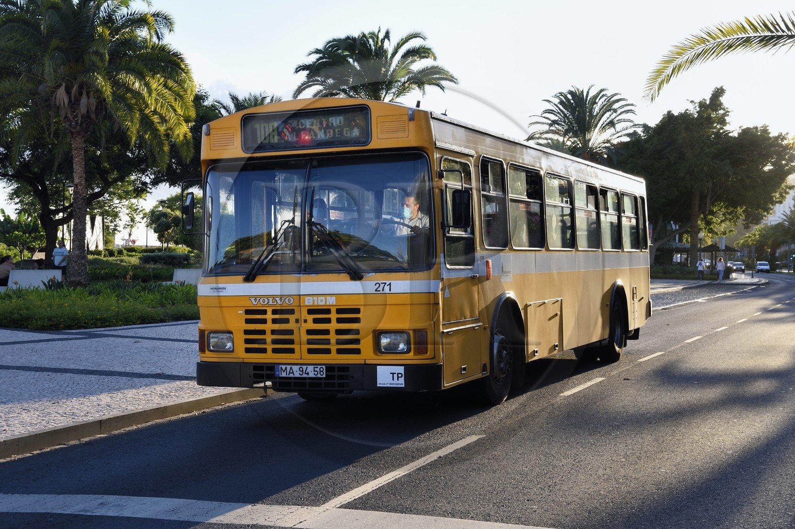 Portugal, Ile de Madère, Funchal, transport en bus
