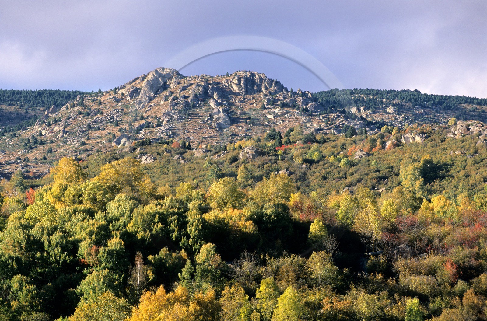 France, Pyrénées-Orientales (66), région de la Cerdagne, Chaos à l'ouest de Font-Romeu