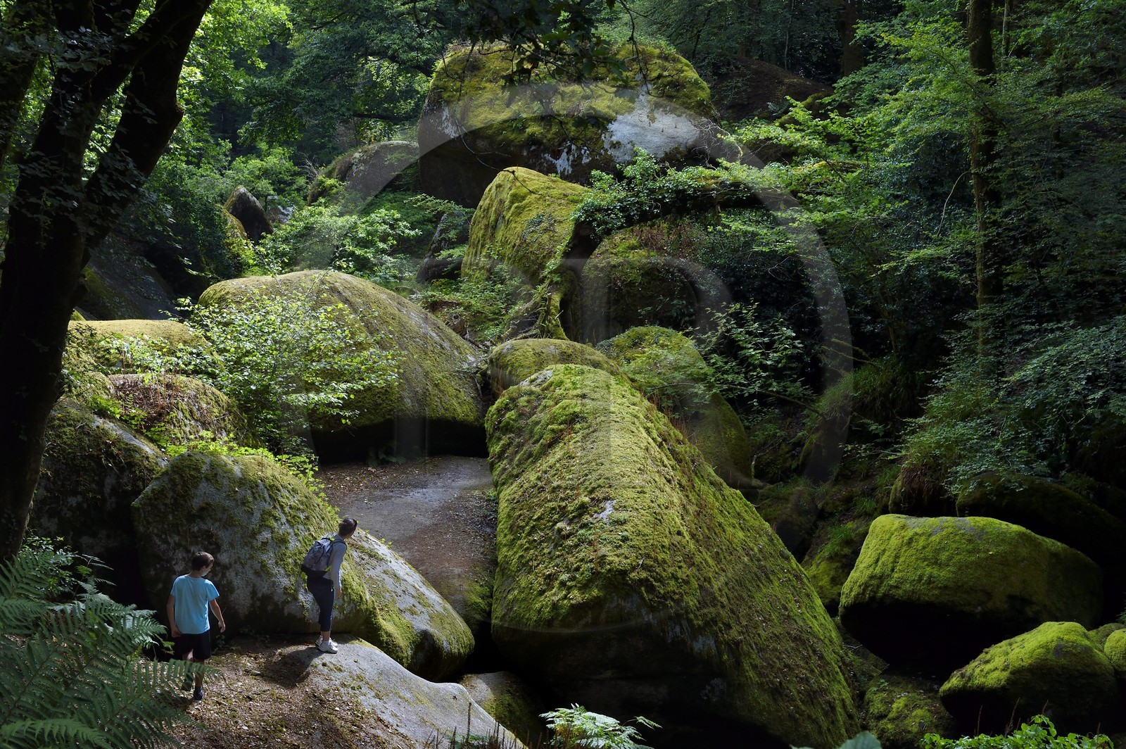 France, Finistère (29), parc naturel régional d'Armorique, Huelgoat, chaos granitique de la forêt du Huelgoat