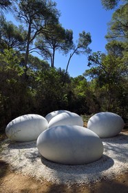 France, Var, Iles d'Hyeres, Parc National de Port Cros (National park of Port Cros), Porquerolles island, Fondation Carmignac, La Couvée (The Brood) (2018) de Nils Udo
