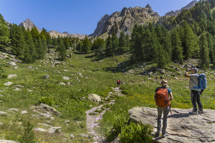 France, Alpes-Maritimes, Parc National du Mercantour (Mercantour national park), Haute Vesubie, Saint Martin Vesubie, Val du Haut Boréon, hike on the GR 52 towards the refuge of Cougourde, Peïrastreche under the Cirque de Cougourde in the background