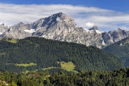 Suisse, canton de Vaud, Villars-sur-Ollon, panorama sur le massif de l'Argentine surplombant Solalex