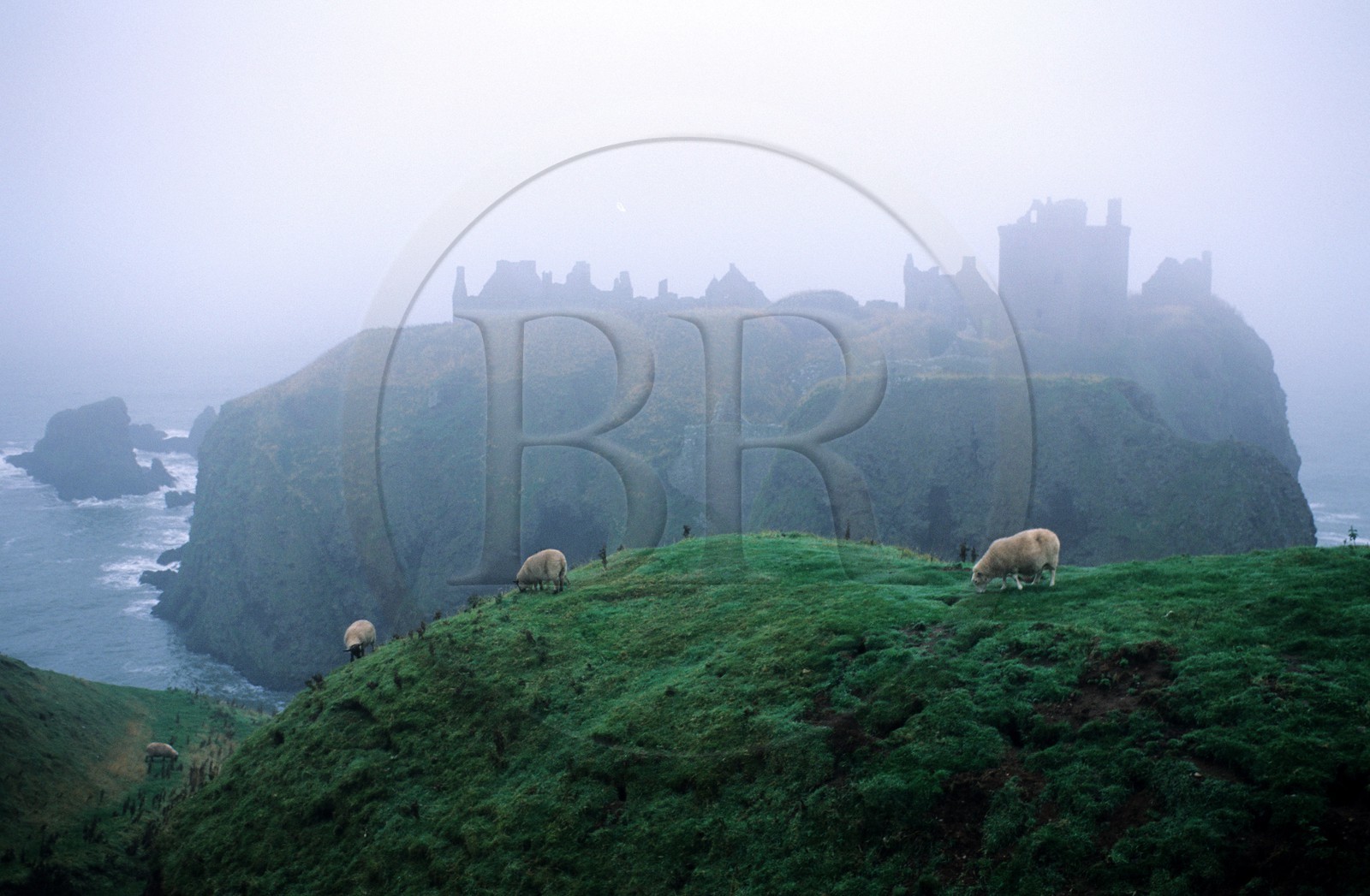 Royaume-Uni, Ecosse, Aberdeenshire, au sud de Stonehaven, le château de Dunnottar dans la brume