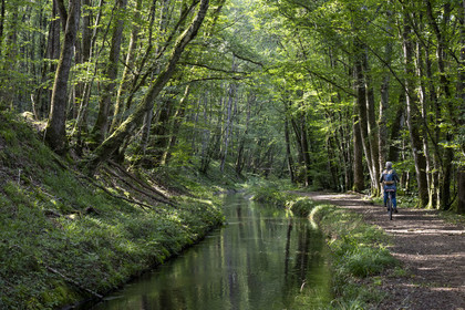 France, Nievre, Regional Natural Park of Morvan, downstream of the Montreuillon aqueduct, cyclist on the path along the Rigole d'Yonne which draws water from the Yonne at Lake Pannecière and feeds the Nivernais Canal