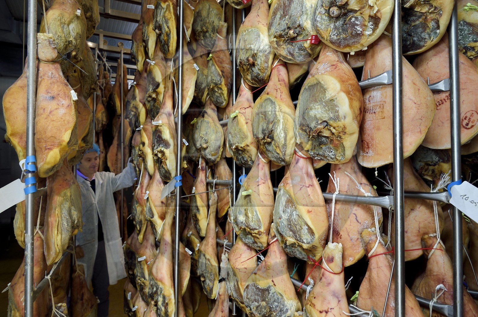 France, Pyrenees Atlantiques, Basque Country, Aldudes valley, the Aldudes collective dryer ensures the drying and the ripening of hams, beginning of the drying process