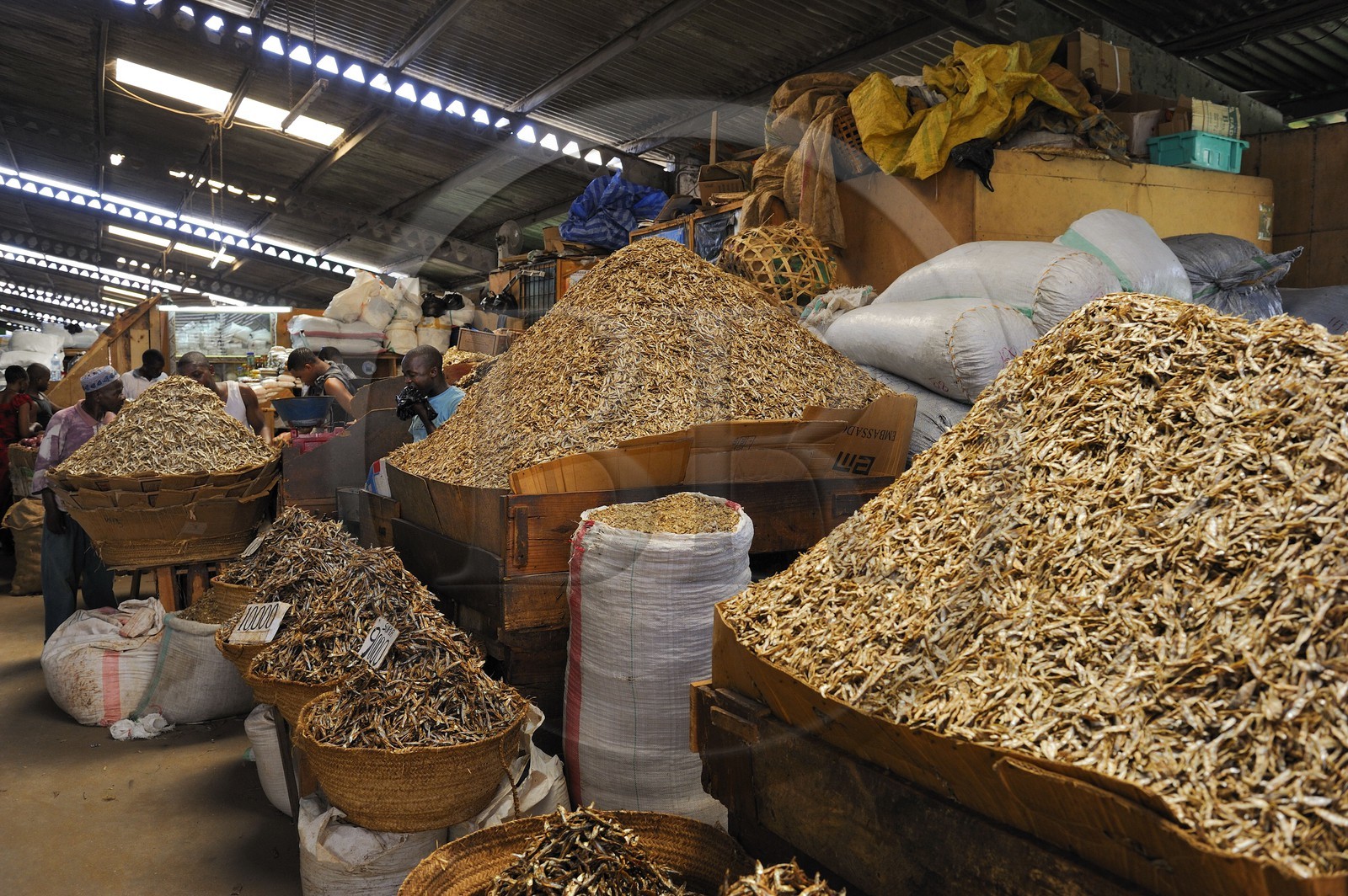 Tanzania, Dar es-Salaam, the Kariakoo central market, dried fish stall