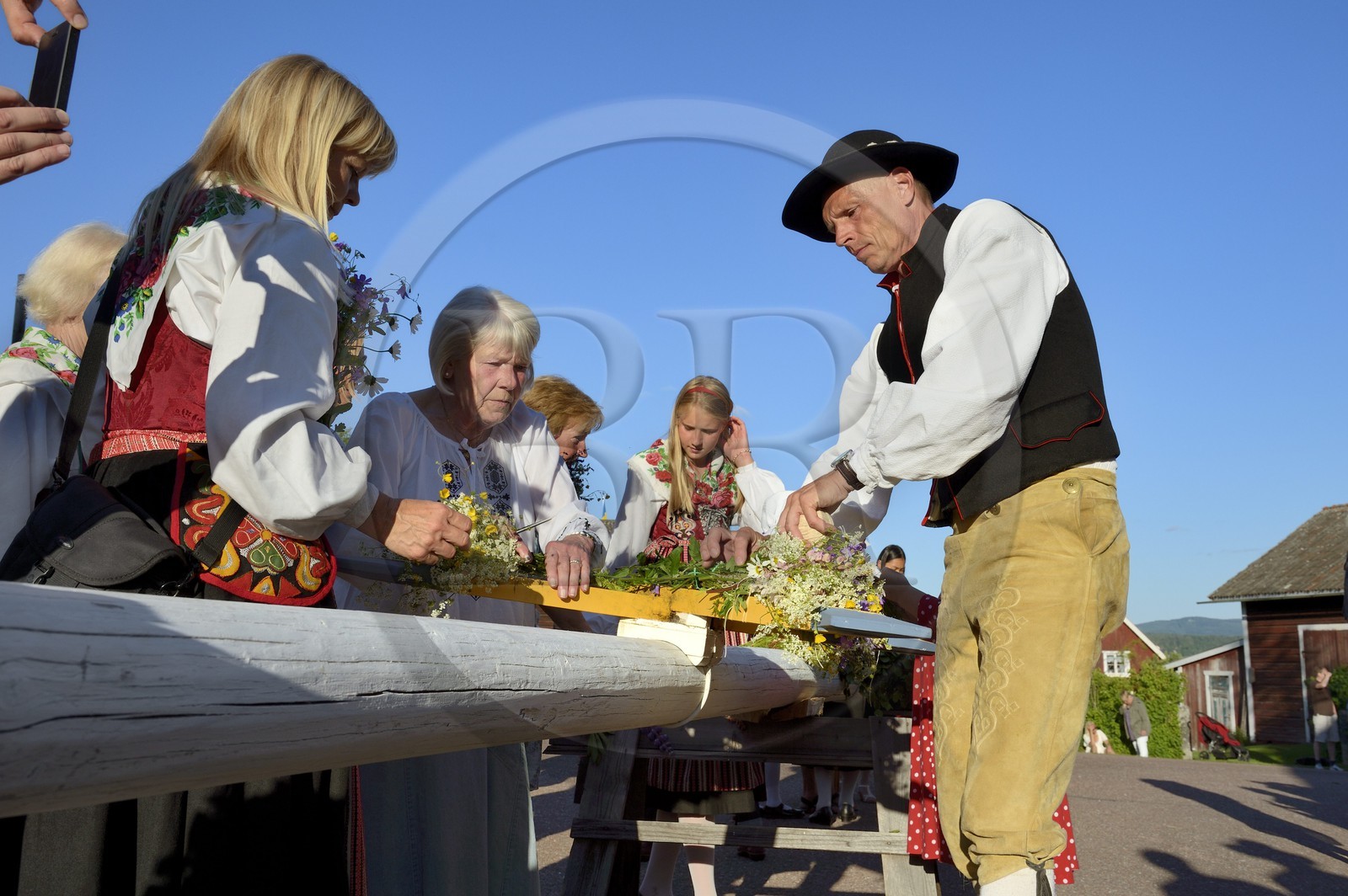 Suède, comté de Dalécarlie, région de Leksand, célébrations du solstice d'été dans le petit hameau de Hjulbäck, préparation de l'arbre de mai