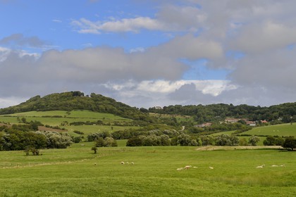 France, Meurthe-et-Moselle (54), pays du Saintois, colline de Sion-Vaudémont, la basilique Notre-Dame de Sion au sommet de la colline