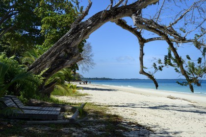 Panama, archipel des Perles, Isla Viveros, plage de sable blanc