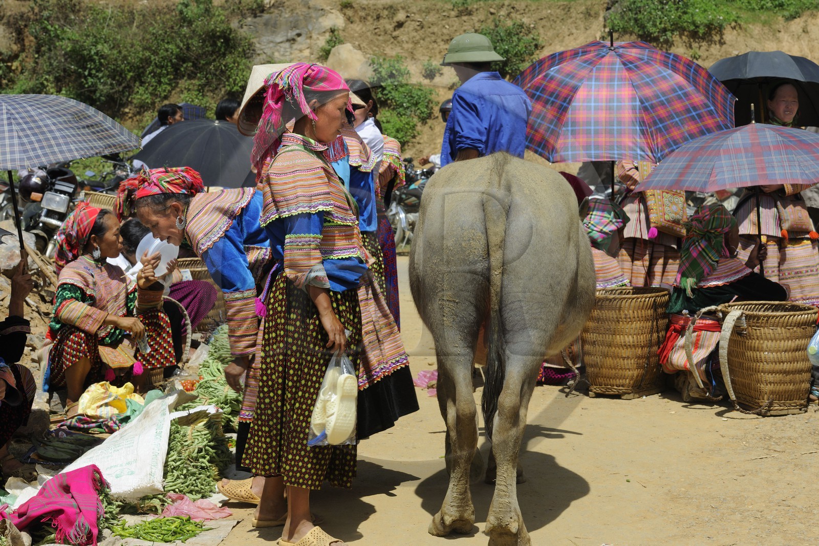 Vietnam, Lao Cai province, Bac Ha district, Can Cau market, women from the Flower Hmong minority