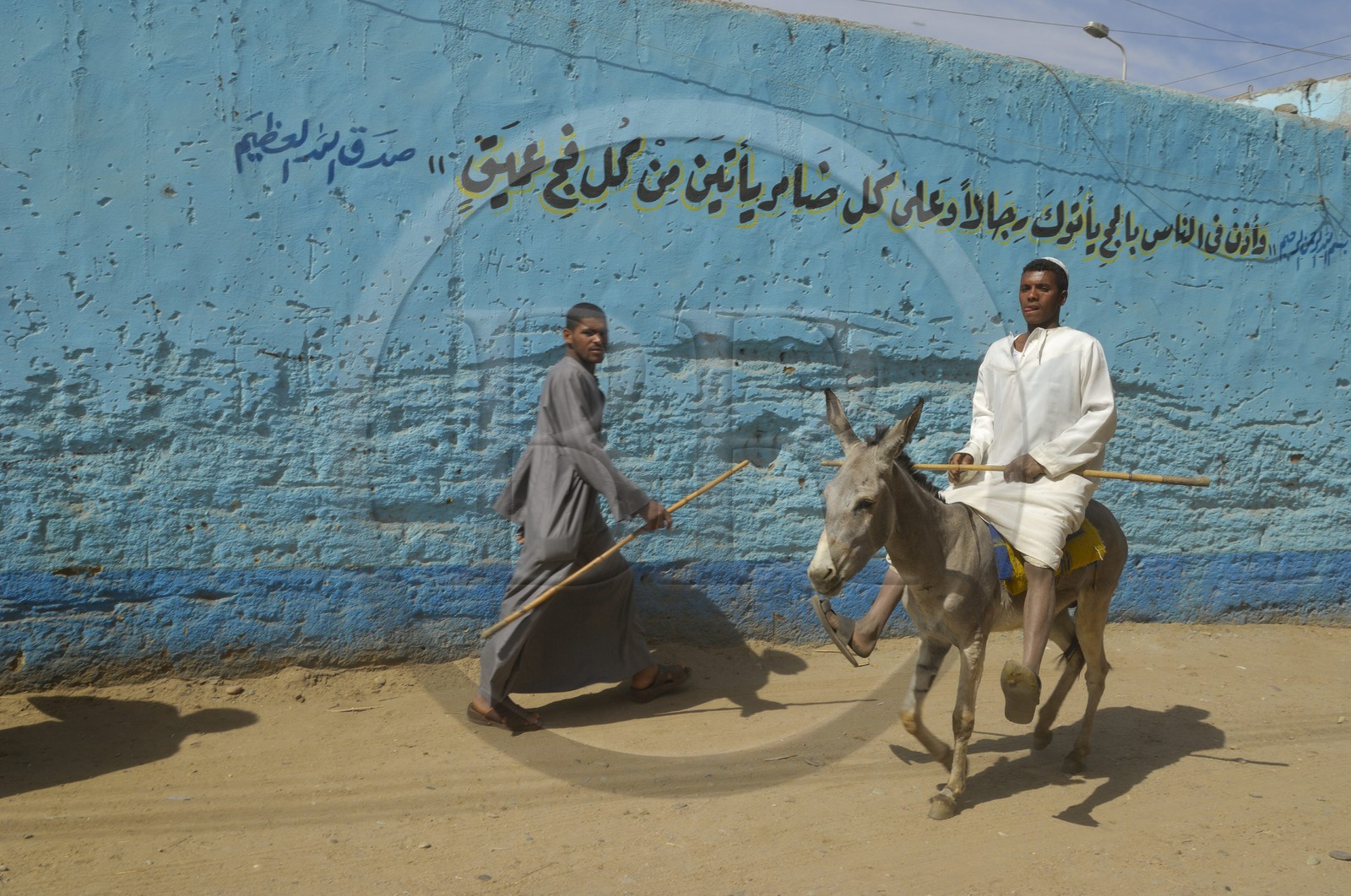 Egypte, Haute Egypte, Daraw au nord d'Assouan