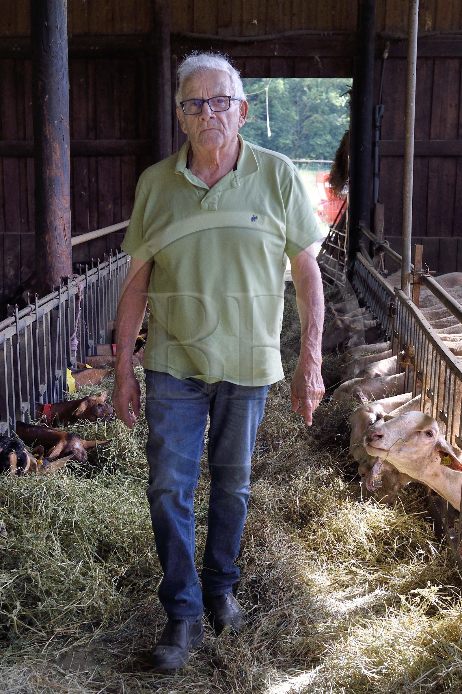 France, Var (83), La Dracénie, village de Châteaudouble, Jean Desbordes à la ferme fromagère La Pastourelle