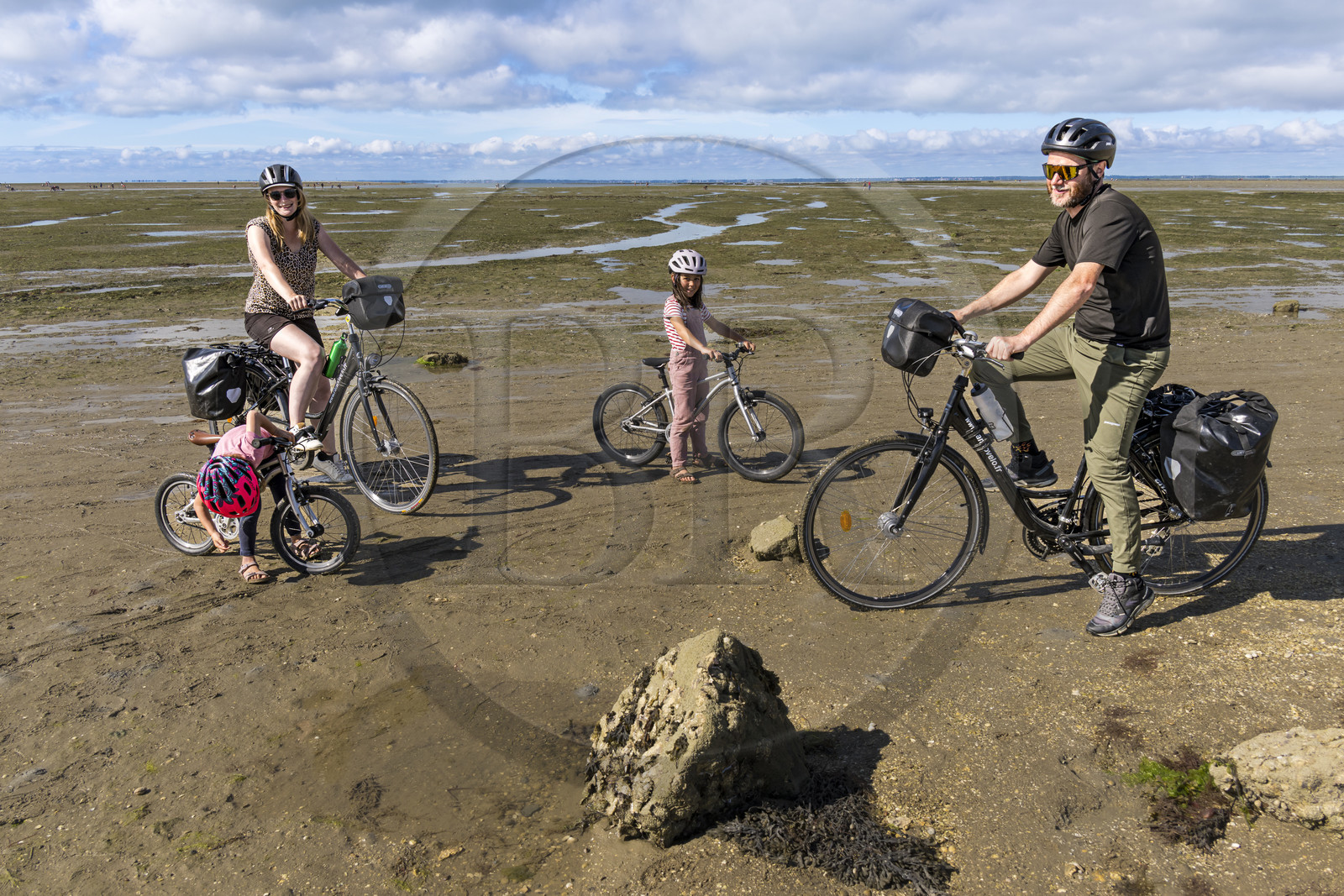 France, Vendée (85), île de Noirmoutier, Barbatre, famille de cyclistes sur l'estran en bordure du passage du Gois, chaussée submersible qui relie l'île au continent à marrée basse